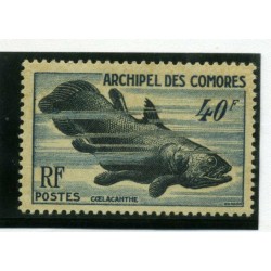 1954 COMORES FAUNA MARINA...