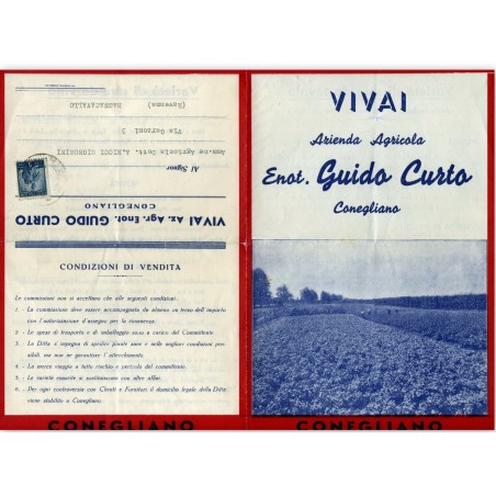 1953 LISTINO PUBBLICITARIO VIVAI CURTO CONEGLIANO C788
